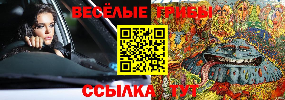 Волгоград  Псилоцибиновые грибы мицелий  Вход с VPN 