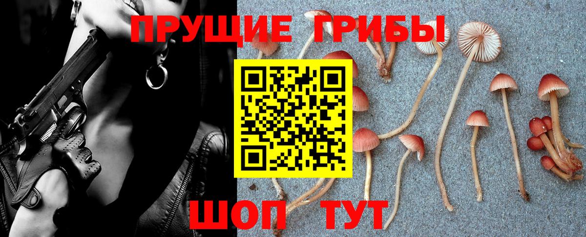 Галлюциногенные грибы мицелий Волгоград
